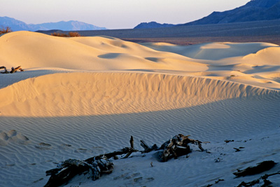 morning_dune