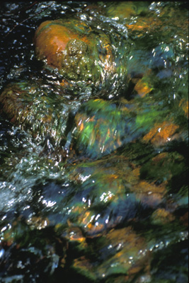 opals